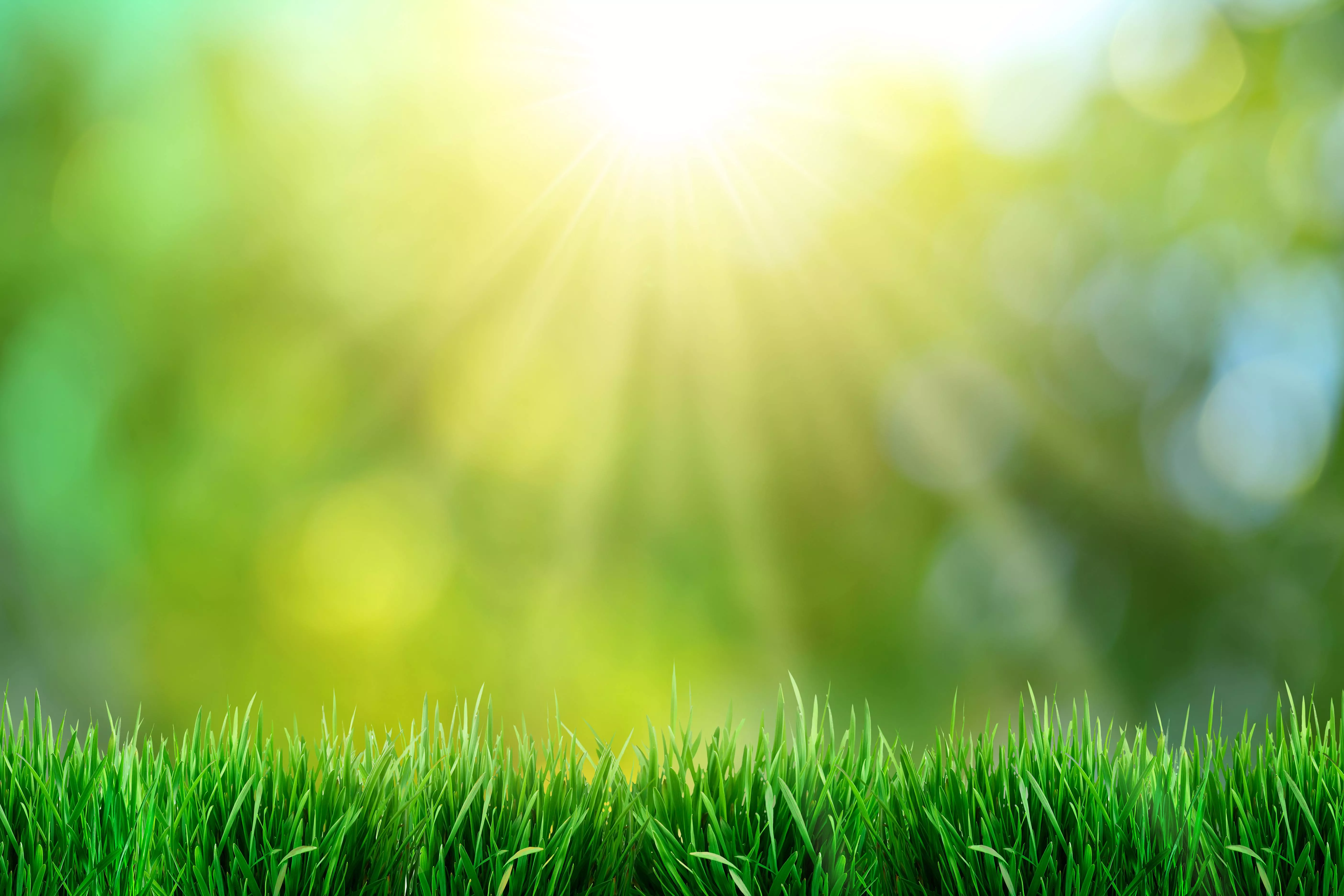 Fotolia 65593151 Green grass with sunset views
